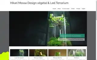 Hikarimossa.eu Screenshot 2024-05-22 09:49:32