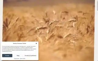 Martimucci.it Screenshot 2024-06-12 17:43:01