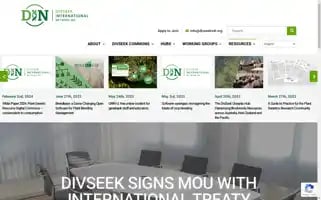 Divseekintl.org Screenshot 2024-07-03 03:35:51