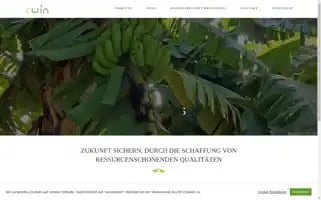 Cwin.at Screenshot 2024-05-22 09:33:31