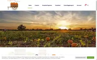 Pumpkinumbria.it Screenshot 2024-05-21 19:52:44