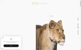 Mm-tech.co.il Screenshot 2024-06-17 15:02:29