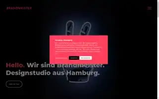 Brandmeister-design.com Screenshot 2024-07-02 06:17:34