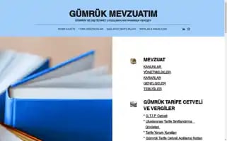 Gumrukmevzuatim.com Screenshot 2024-06-30 08:24:33