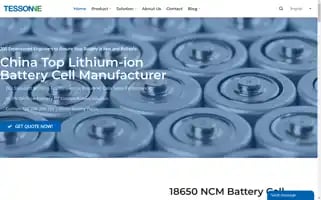 Tesson-tech.com Screenshot 2024-05-24 23:16:43