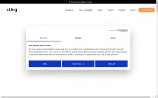 Clingsystems.com Screenshot 2024-07-02 23:54:17