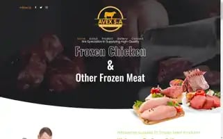 Avex-sa.com Screenshot 2024-05-20 11:25:08