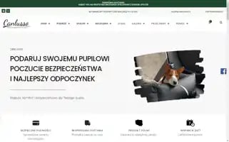 Canlusso.pl Screenshot 2024-05-18 03:37:35