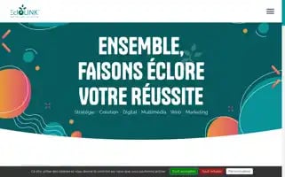 Eclolink.com Screenshot 2024-06-17 00:24:39