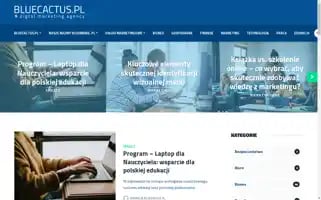 Bluecactus.pl Screenshot 2024-06-11 22:41:03