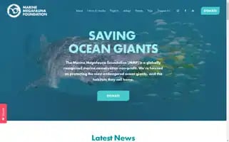 Marinemegafauna.org Screenshot 2024-06-30 02:26:34