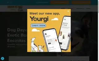 Holidaypethotel.com Screenshot 2024-04-24 05:44:50