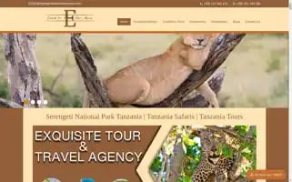 Serengetiparktourtanzania.com Screenshot 2024-04-24 00:17:33