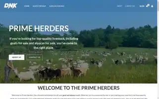 Primeherders.com Screenshot 2024-05-26 11:34:19
