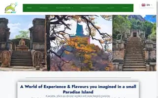 Ceylonskiesholidaysandtours.com Screenshot 2024-04-15 20:42:43