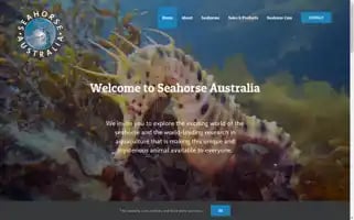 Seahorse-australia.com.au Screenshot 2024-06-30 19:50:25