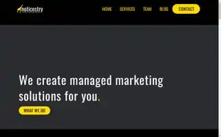 Noticestry.com Screenshot 2024-06-13 08:17:04