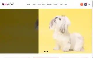 Petology.com.au Screenshot 2024-05-13 09:14:44