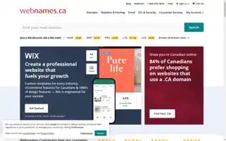 Webnames.ca Screenshot 2024-06-17 21:13:39