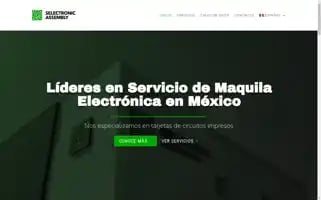 Selectronicassembly.com Screenshot 2024-06-28 19:21:19