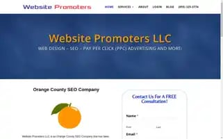 Websitepromoters.com Screenshot 2024-05-15 01:00:14