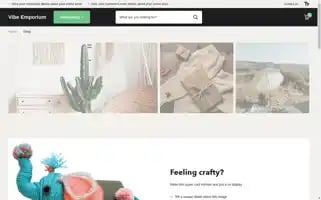 Vibeemporium.com Screenshot 2024-05-03 19:25:43