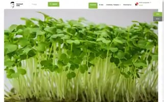 Xn--e1aaafmkp2d8a2a.xn--90ais Screenshot 2024-05-21 05:28:26