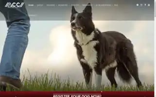 Appliedcanineconcepts.com Screenshot 2024-07-07 03:34:23