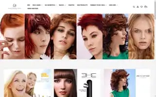 Salononline.co.za Screenshot 2024-05-16 16:06:01