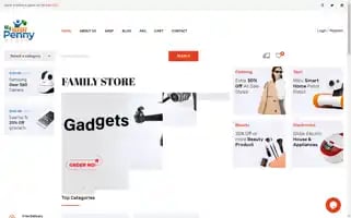 Mypennystore.com Screenshot 2024-06-19 02:32:40
