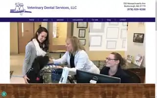 Veterinarydental.com Screenshot 2024-06-11 06:54:38