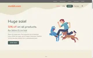 Maillib.com Screenshot 2024-05-22 01:30:45
