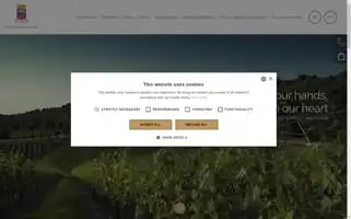 Banfi.it Screenshot 2024-07-05 15:58:08