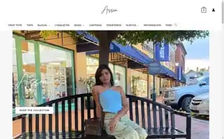 Assenec.com Screenshot 2024-05-20 20:34:42