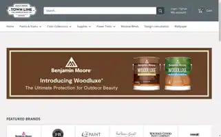 Townlinepaint.com Screenshot 2024-05-14 14:26:47