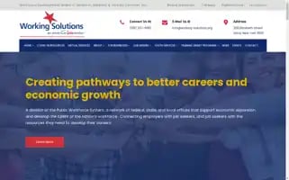 Working-solutions.org Screenshot 2024-05-15 05:10:34