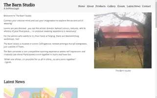 Thebarnstudio.ca Screenshot 2024-07-02 11:30:28
