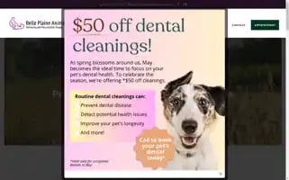 Belleplainevet.com Screenshot 2024-05-08 18:01:50