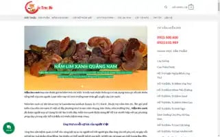 Namlimxanhtunhien.vn Screenshot 2024-06-25 01:59:59