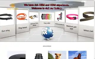 Henthane.com Screenshot 2024-05-28 12:46:17