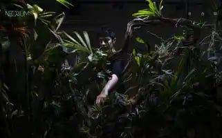 Neorium.fr Screenshot 2024-05-25 10:55:38