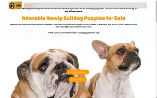 Newlybulldogs.com Screenshot 2024-05-29 12:53:41