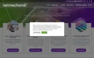 Netmechanic.co.za Screenshot 2024-06-15 18:37:40