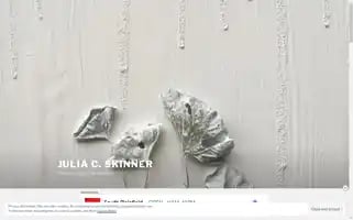 Juliacskinner.com Screenshot 2024-06-30 14:02:24