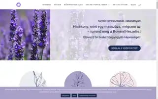 Stresszterapia.com Screenshot 2024-07-04 14:39:36