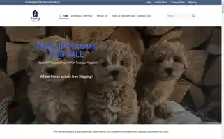 Teacuppawshome.com Screenshot 2024-05-25 21:12:07