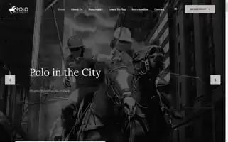 Polointhecity.com Screenshot 2024-05-13 10:58:37