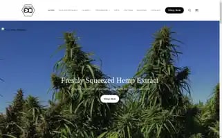 Fullspectrumeq.com Screenshot 2024-06-11 16:03:47