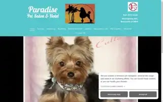 Paradisepetsalonandhotel.com Screenshot 2024-04-16 23:18:19
