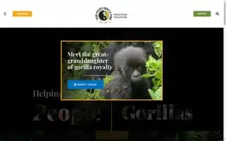Gorillafund.org Screenshot 2024-06-30 21:26:05